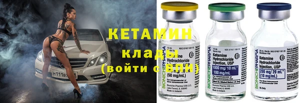 гидра Каменногорск