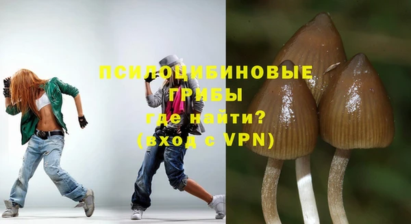 гидра Каменногорск