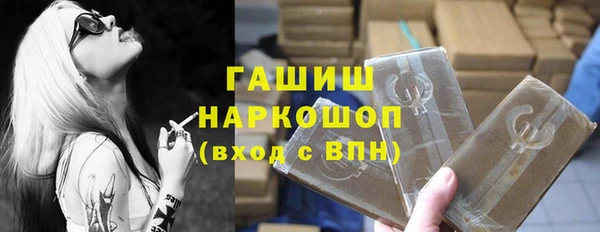 гидра Каменногорск