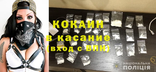 гидра Каменногорск