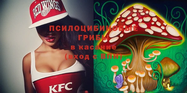 гидра Каменногорск