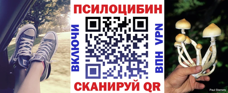 Псилоцибиновые грибы Psilocybine cubensis  Купить  Губкинский 